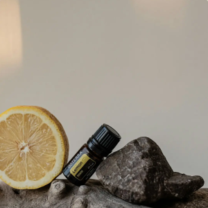 Organic Elderberry Elixir